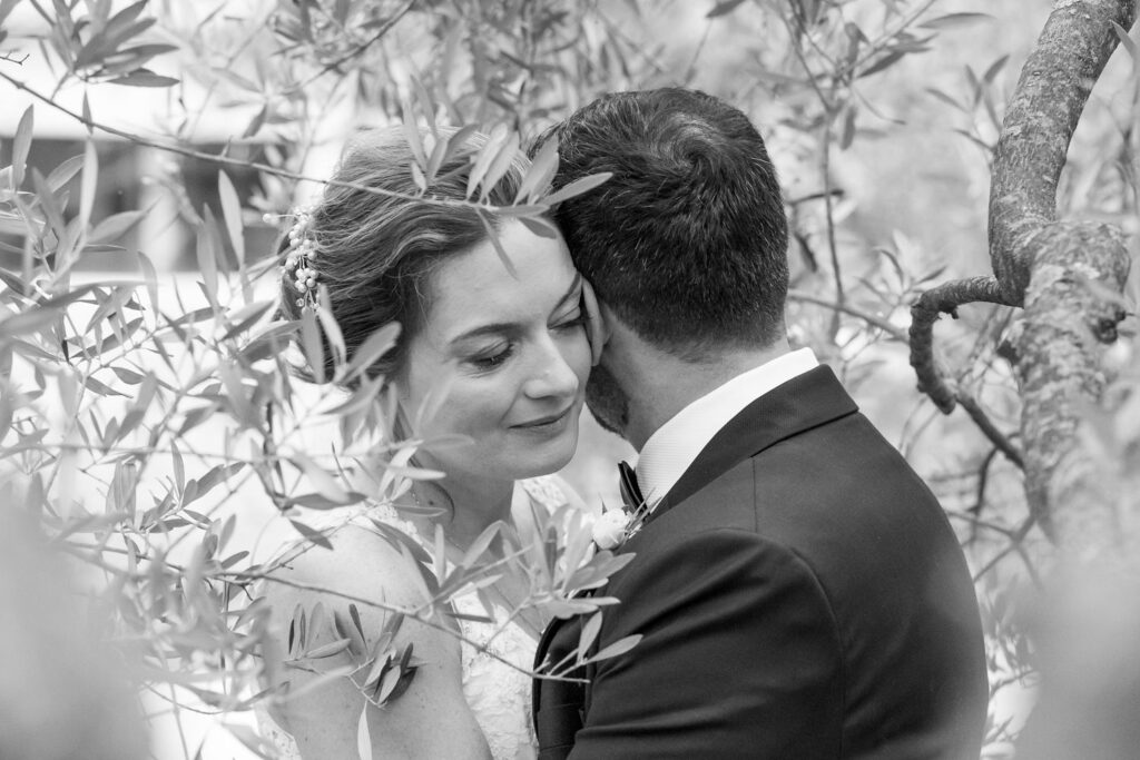 Mariage élégant en Provence